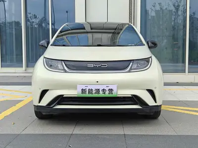 比亚迪 海豚 2023款 420km 时尚版 thumbnail 3