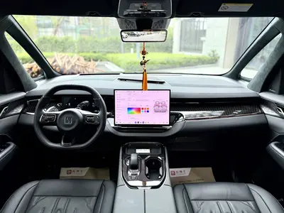 极氪 009 2024款 六座行政版四驱 108kWh thumbnail 8