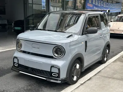 Geely Panda 2024 200km Kadin thumbnail 2