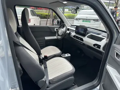 Geely Panda 2024 200km Kadin thumbnail 10