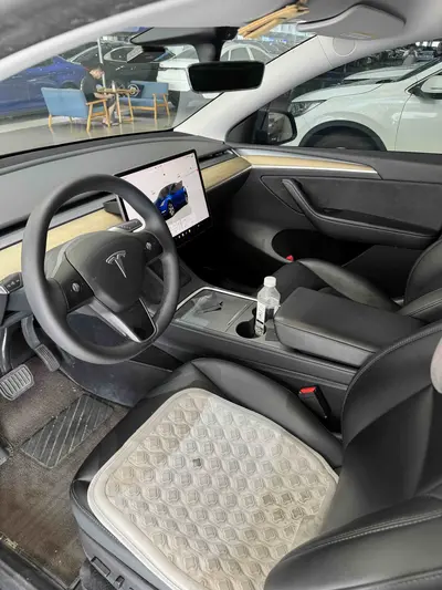 特斯拉 Model Y 2022款 后轮驱动版 thumbnail 3