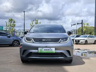 比亚迪 海豚 2023款 420km 自由版 thumbnail 3