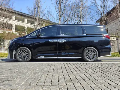 GAC Trumpchi M8 2021 Master 390T Ultimate thumbnail 4