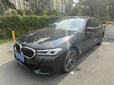 BMW 5 Series 2021 530Li Leading MM Sport thumbnail 2