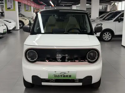 吉利汽车 熊猫 2023款 mini 200km 耐力熊 thumbnail 3