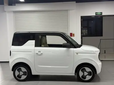吉利汽车 熊猫 2023款 mini 200km 耐力熊 thumbnail 5