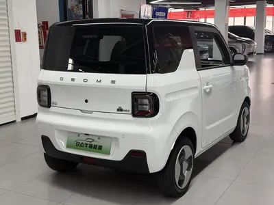吉利汽车 熊猫 2023款 mini 200km 耐力熊 thumbnail 9