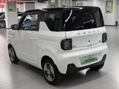 吉利汽车 熊猫 2023款 mini 200km 耐力熊 thumbnail 11