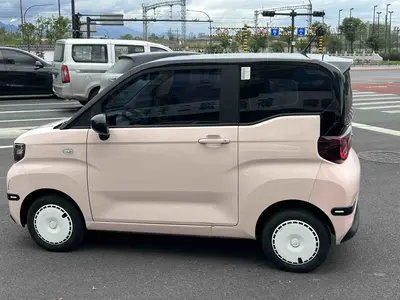 Chery NEV QQ Ice Cream 2024 170km I'm sorry, but "圣代" is not a car specification or trim text. It typically means "sundae" (as in ice cream) in Chinese. Could you please provide the correct car specification text? + thumbnail 9