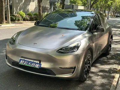 Tesla Model Y 2021 Std Range RWD