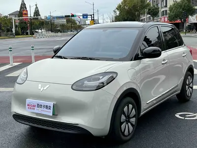 Wuling Bingo 2023 333km Enjoyment thumbnail 1