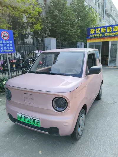 Geely Panda 2024 mini 200km Endurance Bear