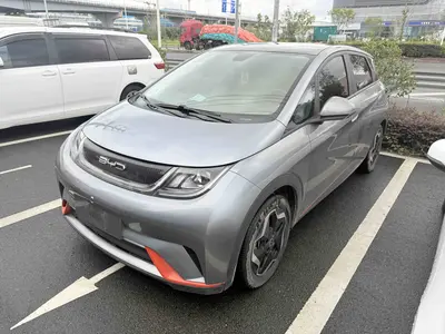比亚迪 海豚 2021款 405km 自由版 thumbnail 2