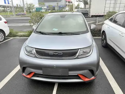 比亚迪 海豚 2021款 405km 自由版 thumbnail 3