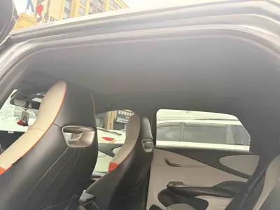 比亚迪 海豚 2021款 405km 自由版 thumbnail 5