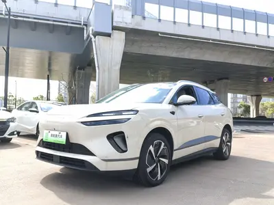 比亚迪 海狮06 2025款 新能源 DM-i 205领航Plus版