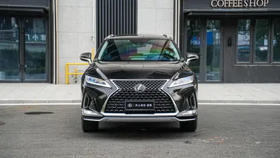 雷克萨斯 RX 2020款 300 两驱舒适版 国VI thumbnail 3