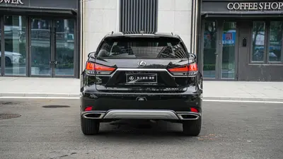 雷克萨斯 RX 2020款 300 两驱舒适版 国VI thumbnail 6