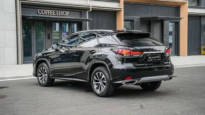 雷克萨斯 RX 2020款 300 两驱舒适版 国VI thumbnail 7