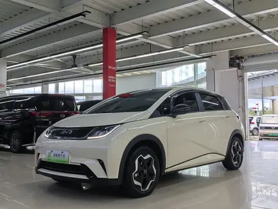 比亚迪 海豚 2025款 420km 活力版