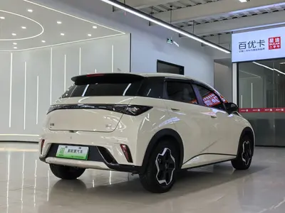 比亚迪 海豚 2025款 420km 活力版 thumbnail 7