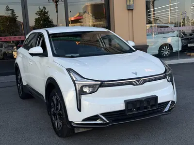 哪吒汽车 哪吒U 2022款 Pro 400 畅行版