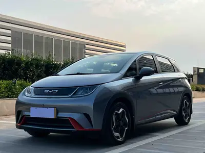 BYD Dolphin 2021 405km Fashion thumbnail 2