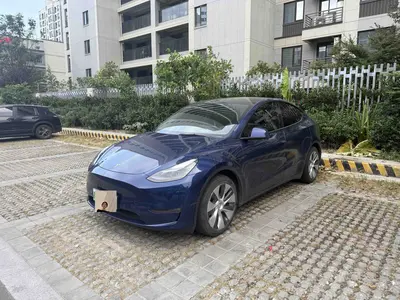 特斯拉 Model Y 2021款 标准续航后驱版