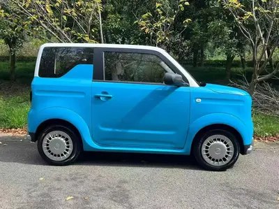 睿蓝汽车 睿蓝蓝气球 2025款 活力版