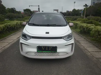 思皓 花仙子 2021款 E10X 302km 时尚型 31.4kWh thumbnail 3