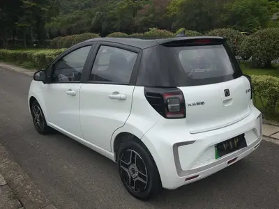 思皓 花仙子 2021款 E10X 302km 时尚型 31.4kWh thumbnail 10