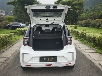 思皓 花仙子 2021款 E10X 302km 时尚型 31.4kWh thumbnail 13