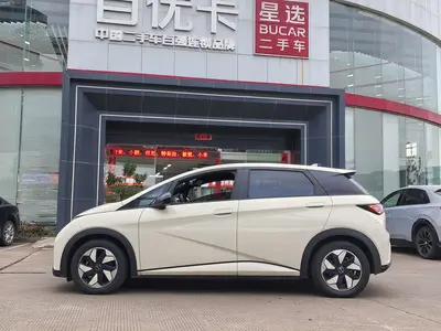 BYD Dolphin 2024 Honor 420km Free