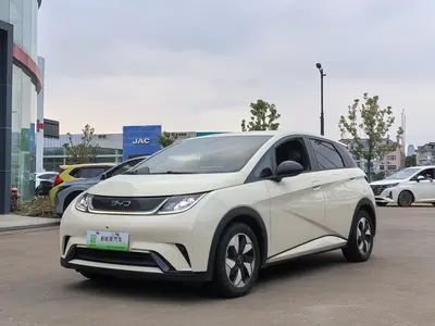 BYD Dolphin 2024 Honor 420km Free thumbnail 1