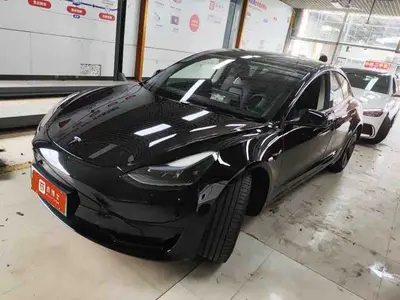 Tesla Model 3 2022 RWD thumbnail 4
