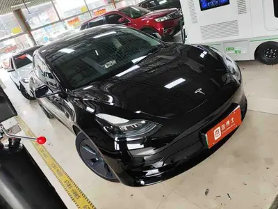 Tesla Model 3 2022 RWD thumbnail 1
