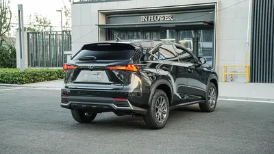 Lexus NX 2020 200 FWD Fengxing thumbnail 5