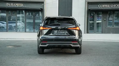 Lexus NX 2020 200 FWD Fengxing thumbnail 6