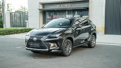 Lexus NX 2020 200 FWD Fengxing thumbnail 1