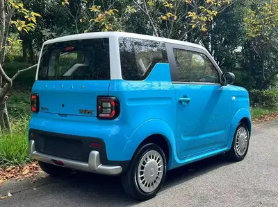 睿蓝汽车 睿蓝蓝气球 2025款 活力版