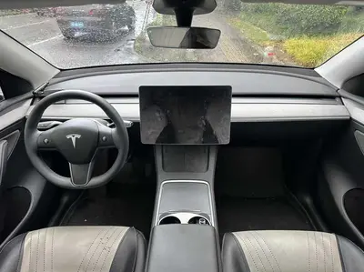 特斯拉 Model Y 2024款 后轮驱动版