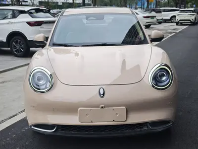 欧拉 好猫 2021款 400km标准续航 公务版 磷酸铁锂 thumbnail 3