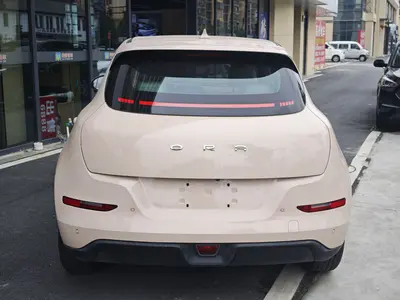 欧拉 好猫 2021款 400km标准续航 公务版 磷酸铁锂 thumbnail 6