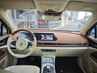欧拉 好猫 2021款 400km标准续航 公务版 磷酸铁锂 thumbnail 8