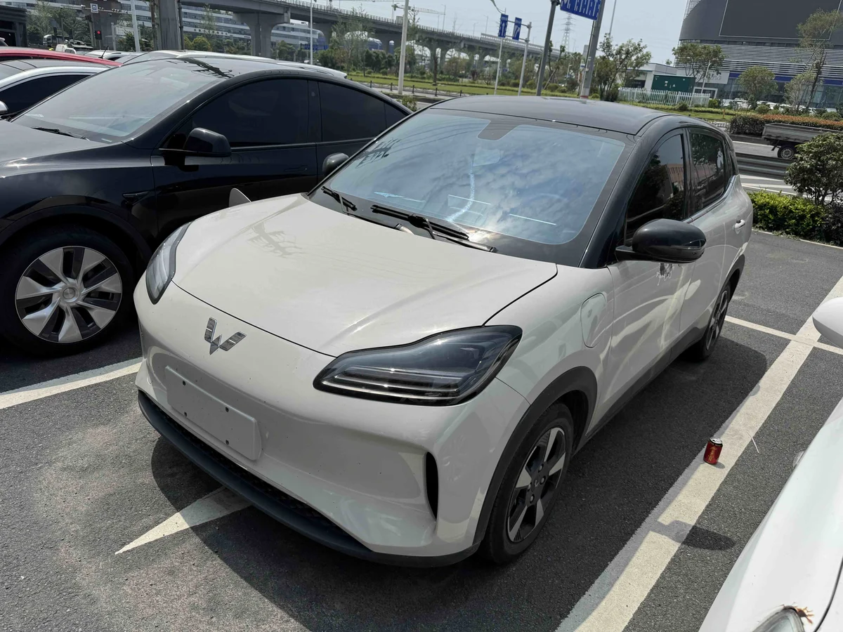 五菱汽车 五菱缤果PLUS 2024款 330km 五座版 - 1