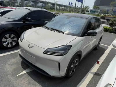 五菱汽车 五菱缤果PLUS 2024款 330km 五座版 thumbnail 1