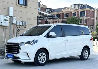 大通 G10 2025款 2.0L 手动多功能版 汽油 7座 thumbnail 3