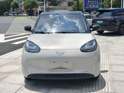 五菱汽车 五菱缤果 2023款 333km 悦享款 thumbnail 3