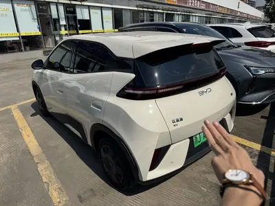 BYD Seagull 2025 Smart Drive 305km Vitality thumbnail 5