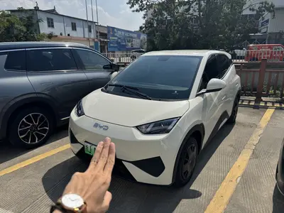 比亚迪 海鸥 2025款 智驾版 305km 活力版